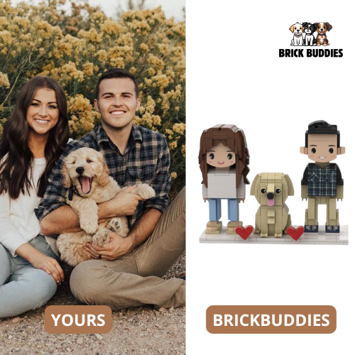 Brick Buddies™